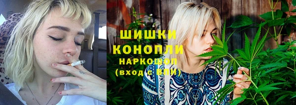 индика Баксан