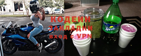 индика Баксан