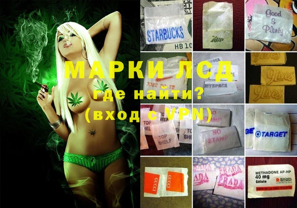 индика Баксан