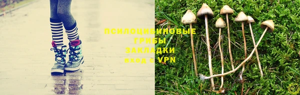 индика Баксан