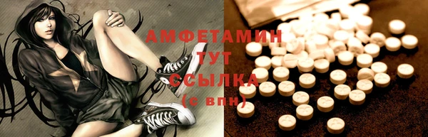 индика Баксан